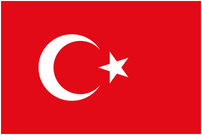Demans bakımı